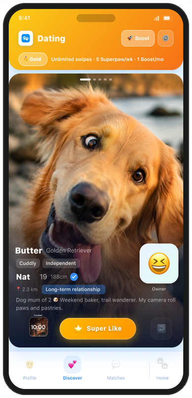 Gold tier — Dating screen showing unlimited swipes and Superpaws